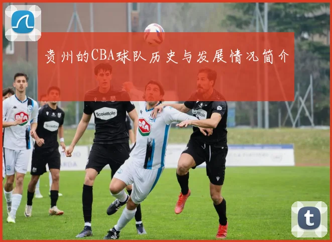 贵州的CBA球队历史与发展情况简介
